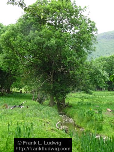 Around Glencar Lake